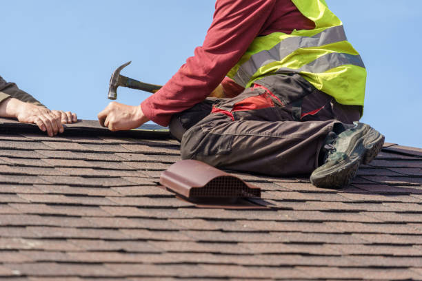 Best Roof Gutter Cleaning  in Debary, FL